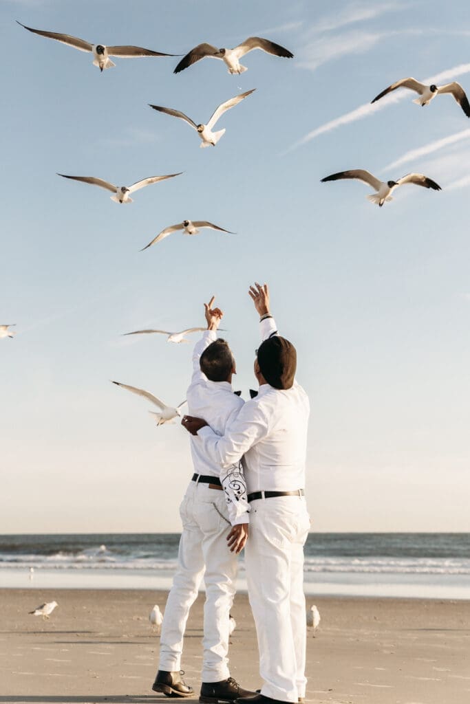 Couple reaching towards flock of seagulls